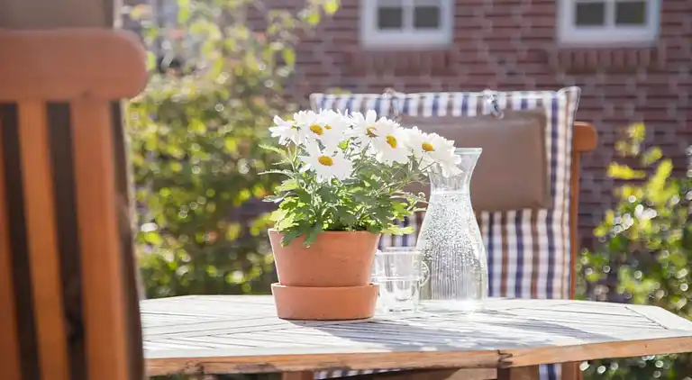 Ferienhaus in Westerhusen