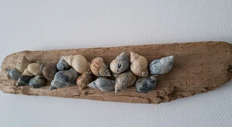 Vakantiehuis in Borkum