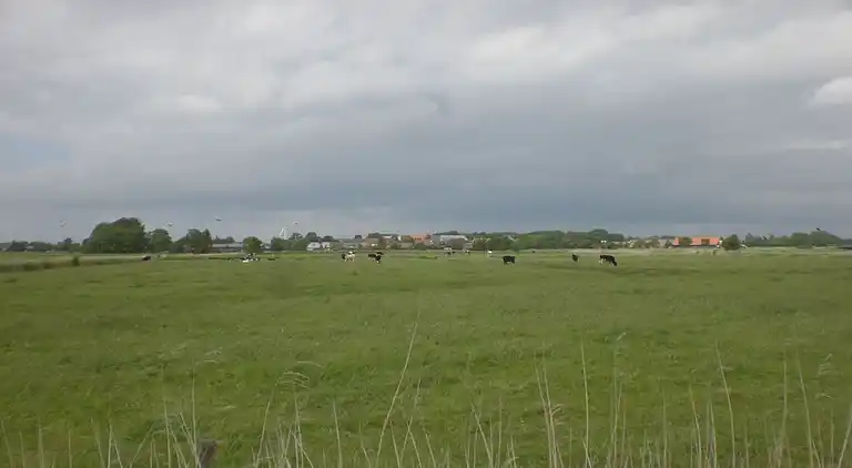 Ferienhaus in Westerhusen