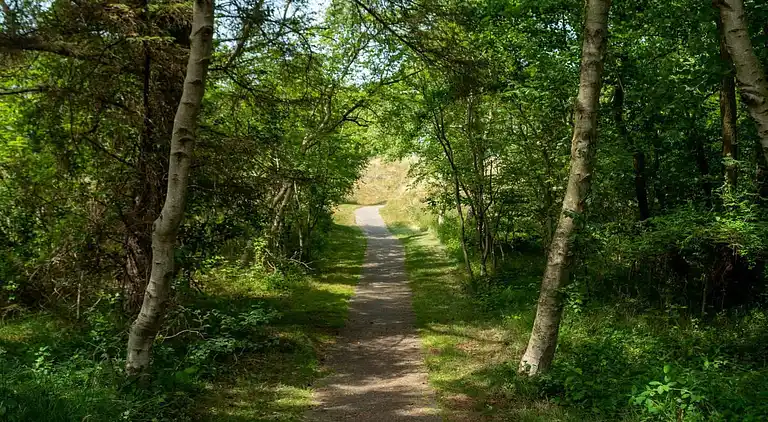 Vakantiehuis in Borkum