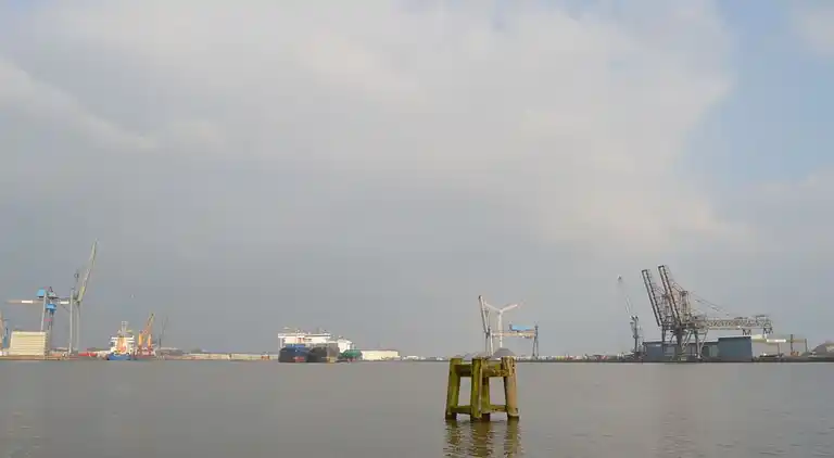 Ferienhaus in Westerhusen