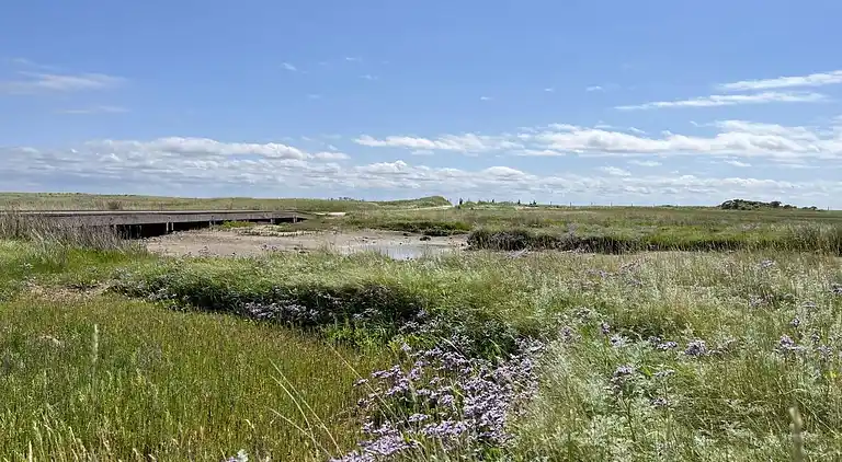 Holiday home in Borkum