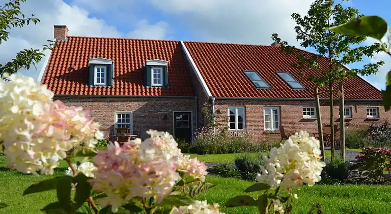 Ferienhaus in Westerhusen