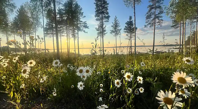 Luxuriöse Villa am See in Tällberg mit eigener Sauna und