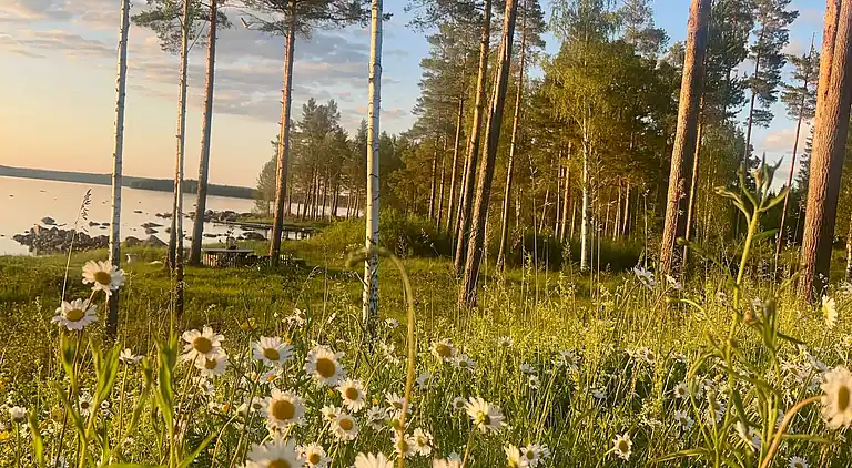 Luxuriöse Villa am See in Tällberg mit eigener Sauna und