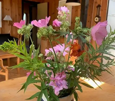 Charmantes Ferienhaus nahe Strand und Ort