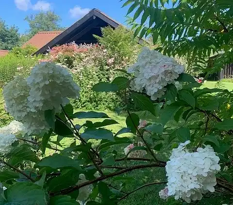 Charmantes Ferienhaus nahe Strand und Ort