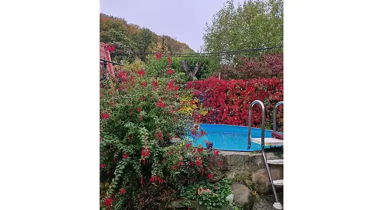 Apartment in Altenbrak