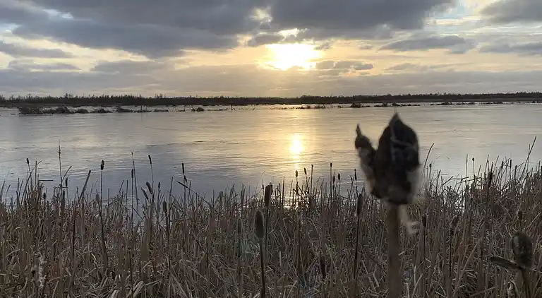 Gemütliches Haus nahe Natur, Stadt und Strand