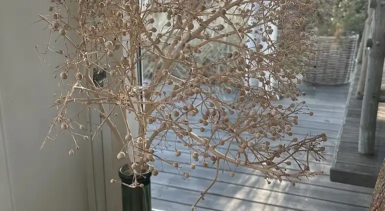 Charmantes Ferienhaus nahe am Meer