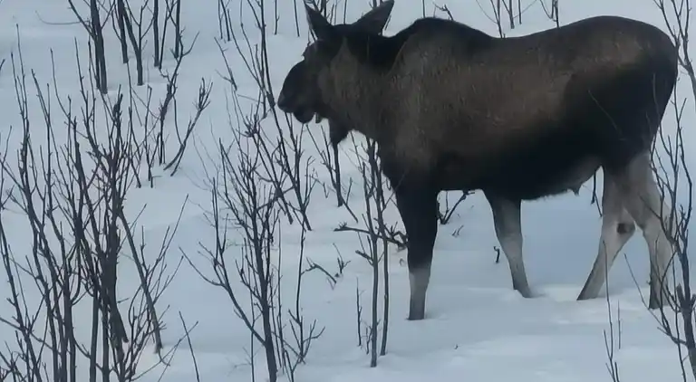 Holiday home in Vågan