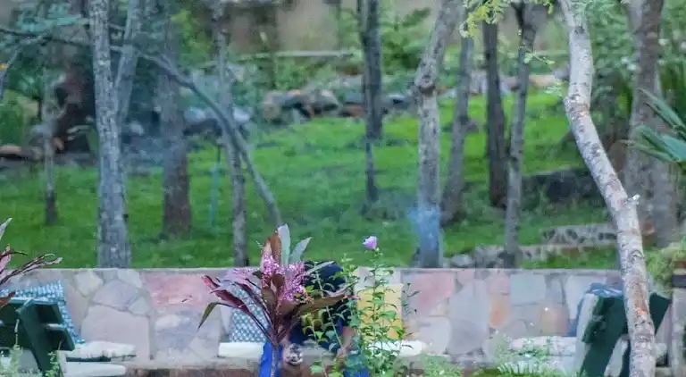 Darwendale Chishongo lodge for one