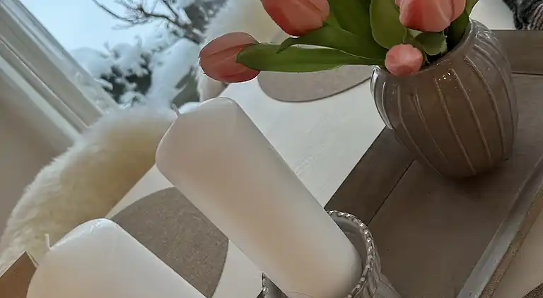 Stort sommerhus tæt på strand og natur