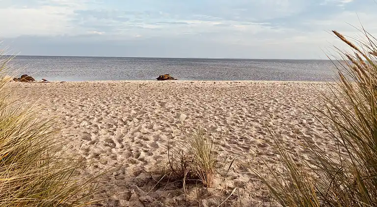 Dejligt familiehus i rolige omgivelser ved vandet