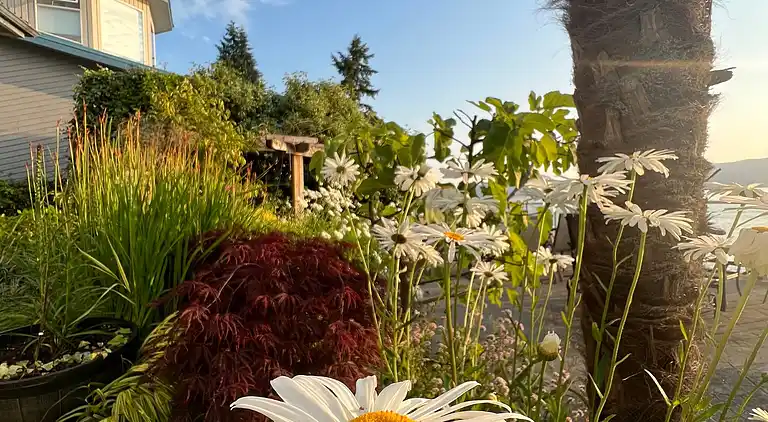 Hummingbird Ocean Front Villa