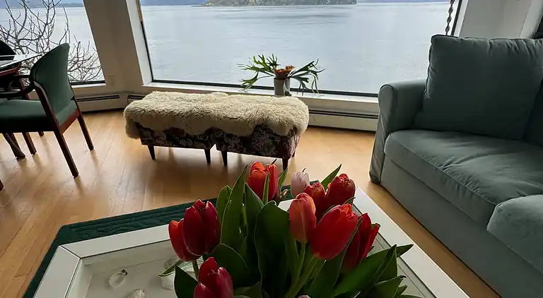 Hummingbird Ocean Front Villa