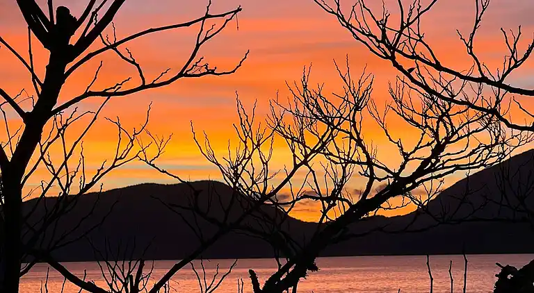 Hummingbird Ocean Front Villa