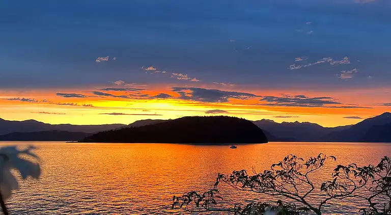 Hummingbird Ocean Front Villa