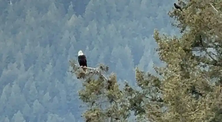 Hummingbird Ocean Front Villa