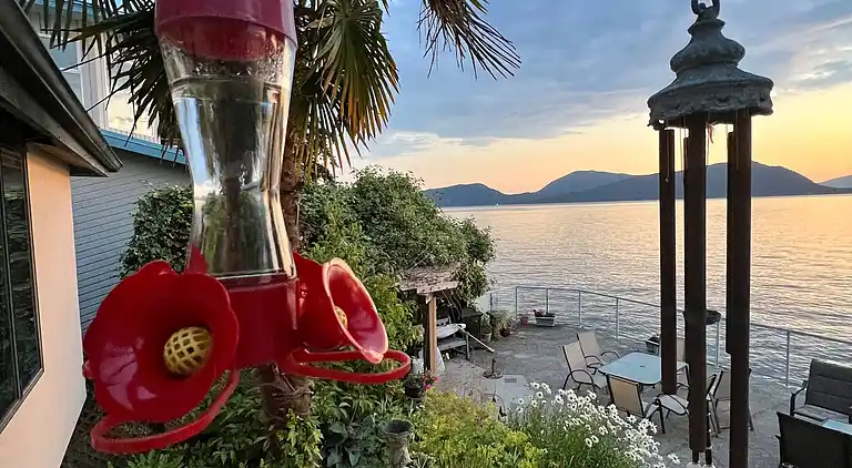 Hummingbird Ocean Front Villa