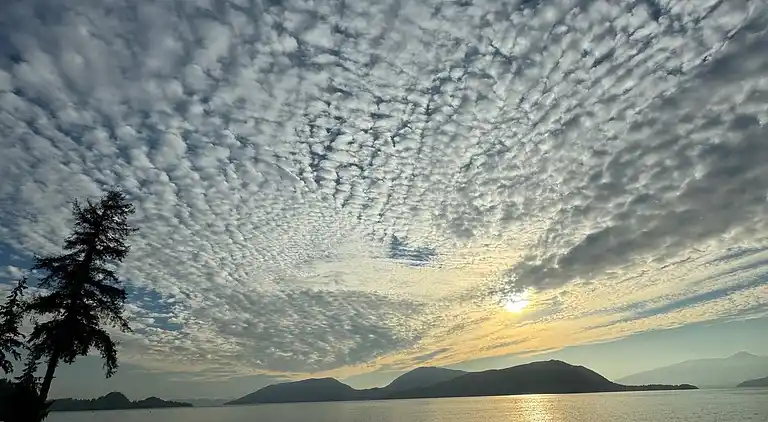 Hummingbird Ocean Front Villa