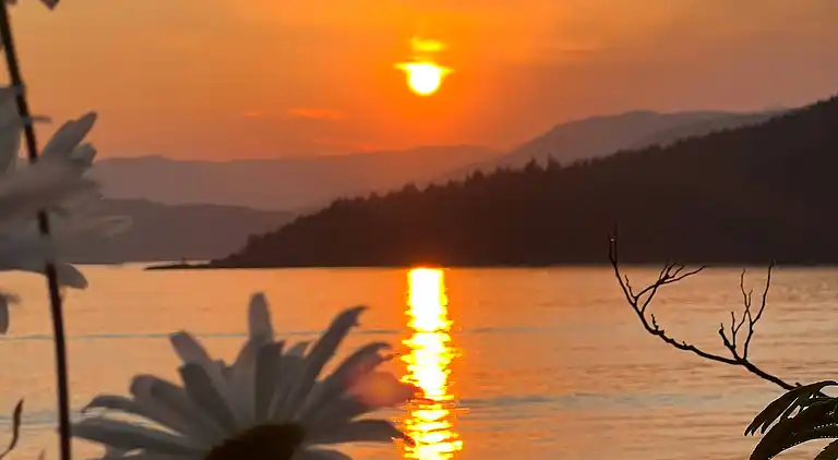 Hummingbird Ocean Front Villa