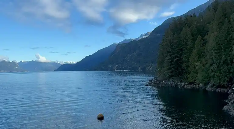 Hummingbird Ocean Front Villa