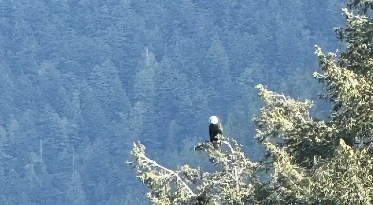 Hummingbird Ocean Front Villa