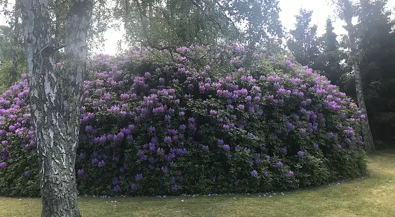 Hyggeligt sommerhus med pool, tæt på strand og by