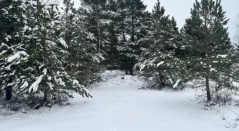 Stilfuldt sommerhus nær strand med stor terrasse