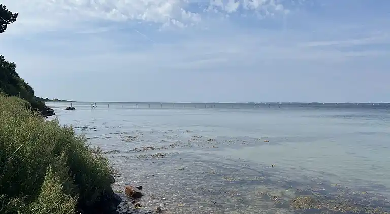 Charmerende og hyggeligt sommerhus