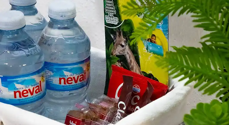 Torreviejar with garage and pool