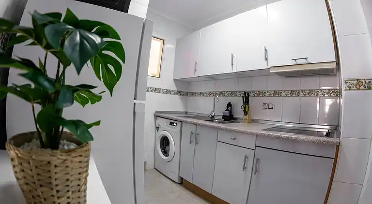 Torreviejar with garage and pool