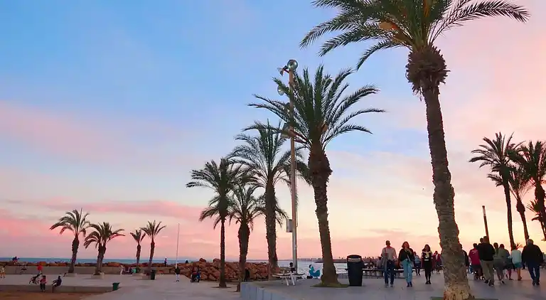 Torreviejar with garage and pool