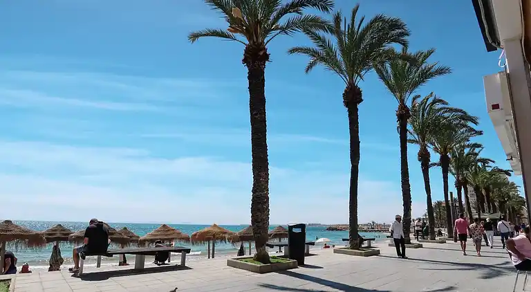 Torreviejar with garage and pool