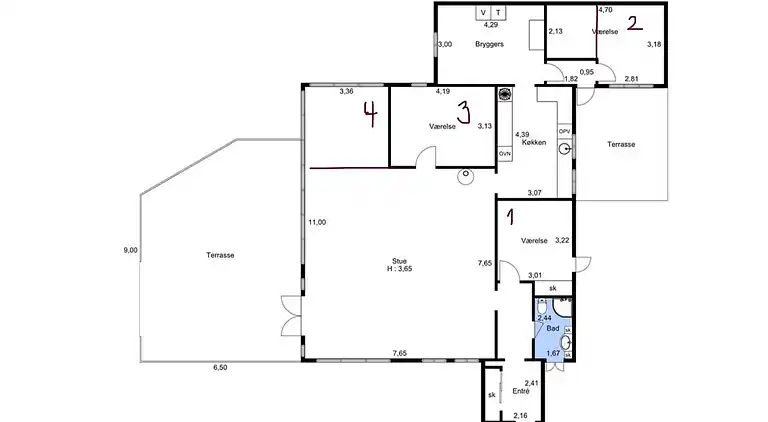 Stort sommerhus tæt på strand og natur