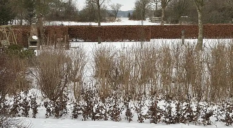 Charmantes Ferienhaus am Limfjord