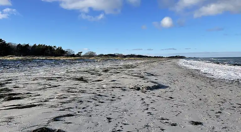 Charmantes Blockhaus mit Sauna nahe Strand