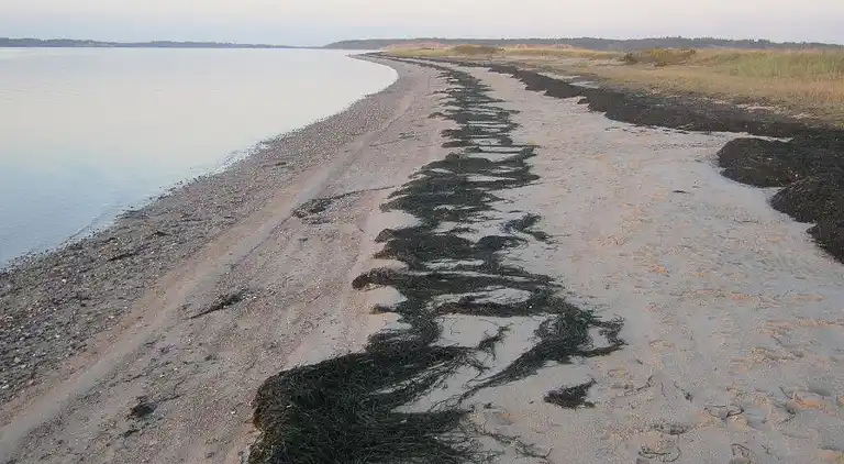 Geräumiges Ferienhaus nahe am Wasser
