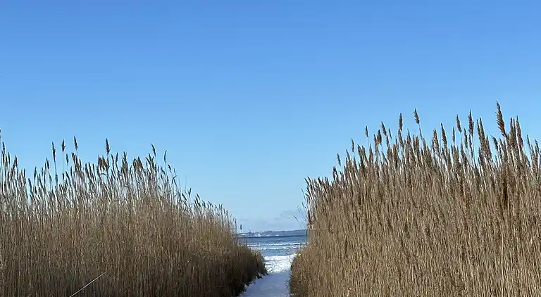 Stort sommerhus tæt på strand og natur