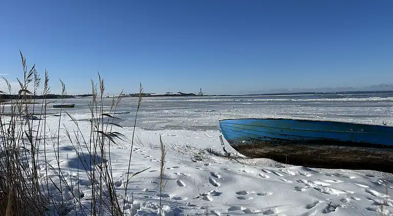 Stort sommerhus tæt på strand og natur