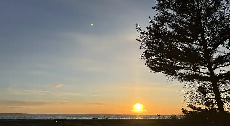 Ruhe, Natur, Schutz und Blick über den Fjord