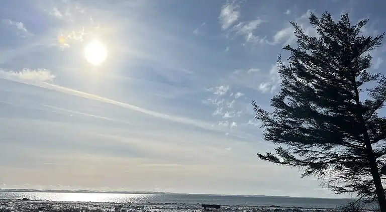 Ruhe, Natur, Schutz und Blick über den Fjord