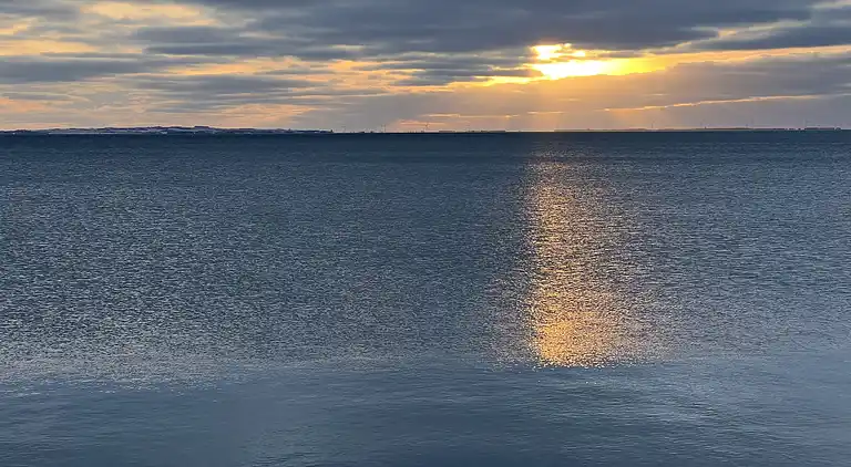 Ruhe, Natur, Schutz und Blick über den Fjord