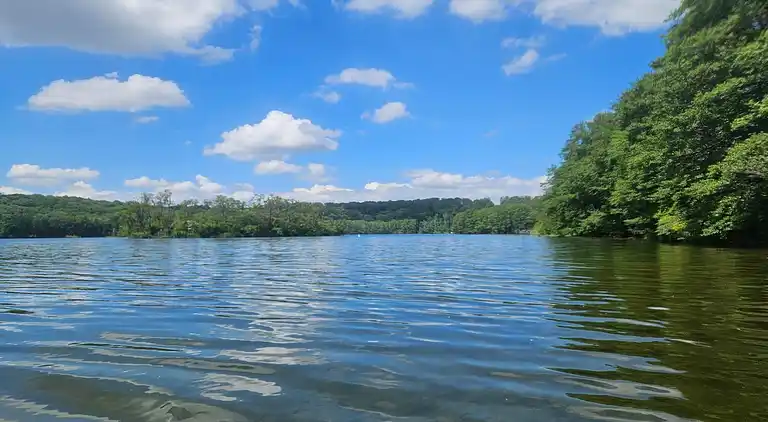 Apartment in Feldberg