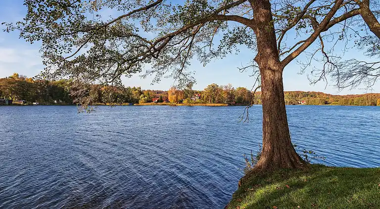 Apartment in Feldberg