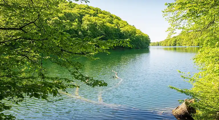 Apartment in Feldberg