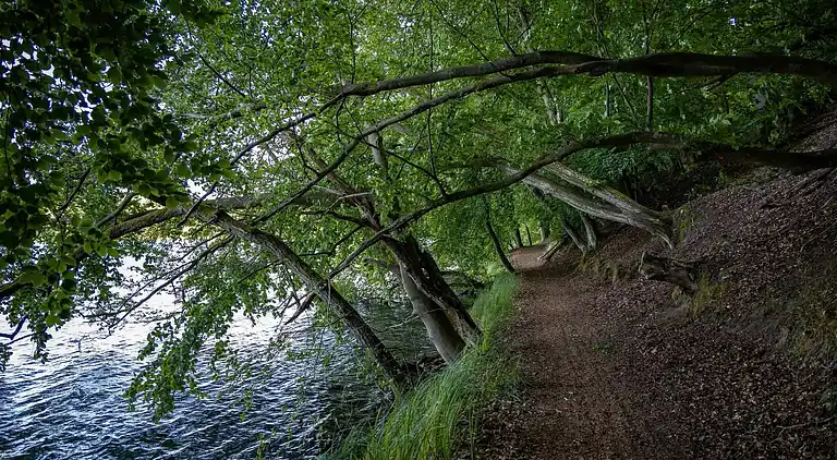 Apartment in Feldberg