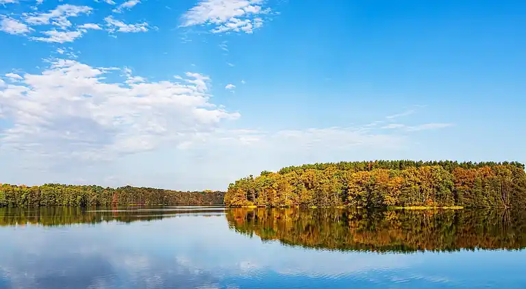 Apartment in Feldberg