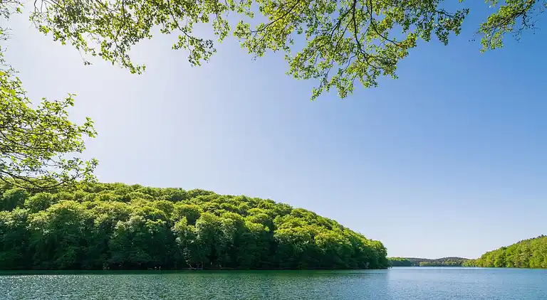 Apartment in Feldberg